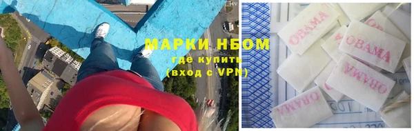 ГАЛЛЮЦИНОГЕННЫЕ ГРИБЫ Аркадак