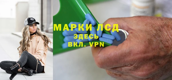 ГАЛЛЮЦИНОГЕННЫЕ ГРИБЫ Аркадак