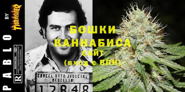 ГАЛЛЮЦИНОГЕННЫЕ ГРИБЫ Аркадак