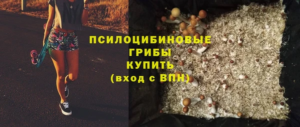 ГАЛЛЮЦИНОГЕННЫЕ ГРИБЫ Аркадак