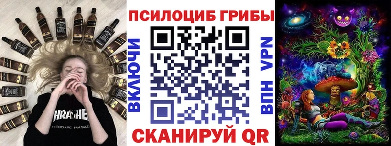 закладки  Новоузенск  blacksprut зеркало  мориарти формула  Галлюциногенные грибы MAGIC MUSHROOMS 